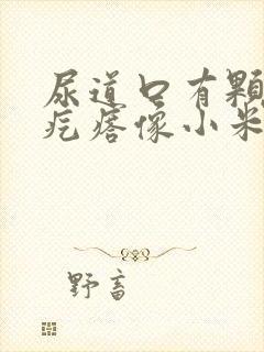 尿道口有颗粒状疙瘩像小米粒很痒