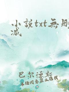 小说txt无删减