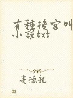 有种后宫叫德妃小说txt