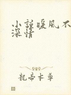小说暖风不及你深情