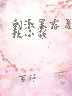 刺激暴露羞耻调教小说