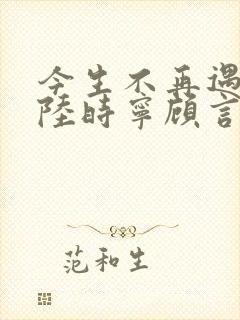 今生不再遇见你陆时宁顾言澈全文小说