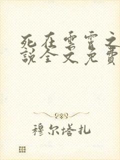 死在云霄之上小说全文免费阅读