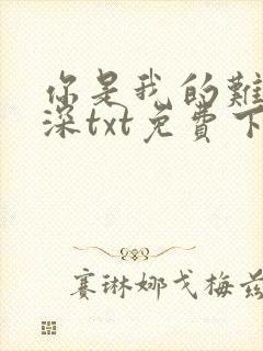 你是我的难得情深txt免费下载