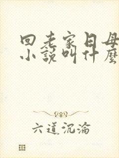 回老家日母原著小说叫什么名字