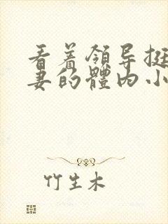 看着领导挺进娇妻的体内小说