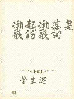 潮起潮落是哪首歌的歌词