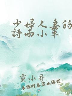 少妇人妻的欲望诗雨小军
