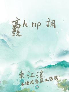 高h np 调教