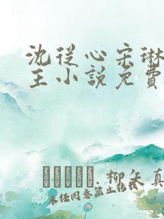 沈从心宋琳双女主小说免费阅读