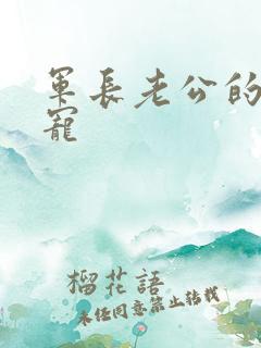 军长老公的心尖宠