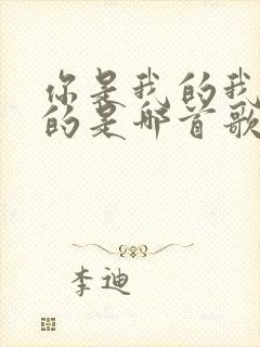 你是我的我是你的是哪首歌的歌词