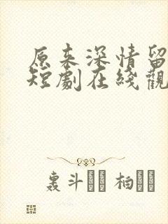 原来深情留不住短剧在线观看