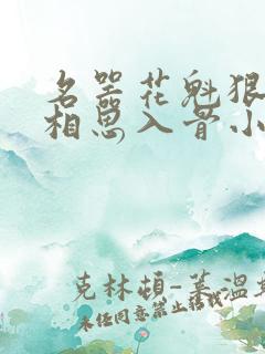 名器花魁狠角色相思入骨小说后续