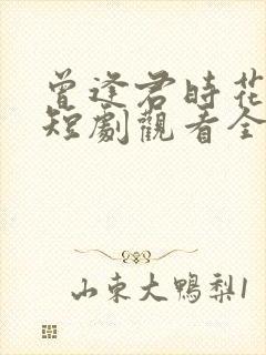 曾逢君时花照眼短剧观看全