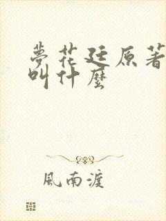 梦花廷原著小说叫什么