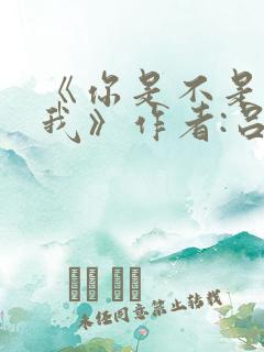 《你是不是喜欢我》作者:吕天逸