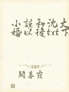 小说和沈大佬订婚以后txt下载