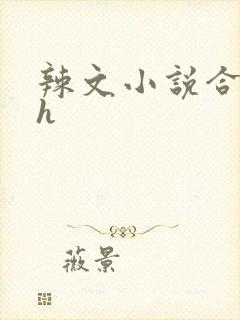 辣文小说合集高h