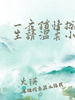 一夜锁情总裁先生请温柔小说全文免费阅读