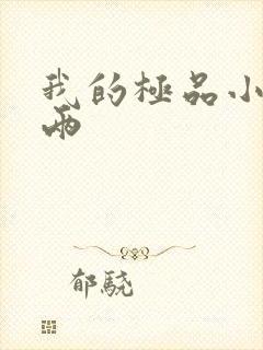 我的极品小姨五两