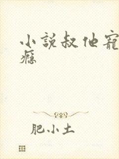 小说叔他宠妻上瘾