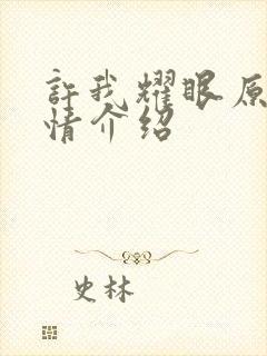 许我耀眼原著剧情介绍