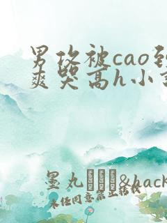 男攻被cao到爽哭高h小说