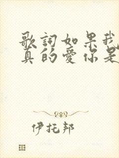 歌词如果我说我真的爱你是什么歌名