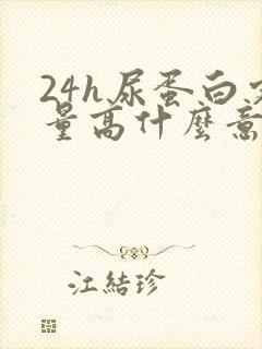 24h尿蛋白定量高什么意思