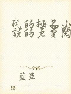 我的极品小姨小说的免费阅读