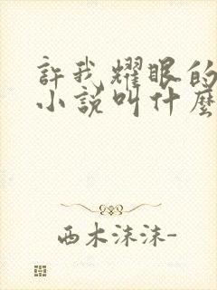 许我耀眼的原著小说叫什么