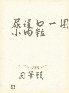 尿道口一圈白色小肉粒