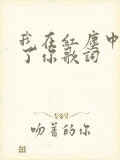 我在红尘中遇见了你歌词