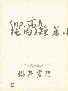 (np,高h,纯肉)短篇小说
