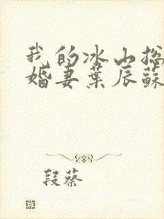 我的冰山总裁未婚妻叶辰苏夕月