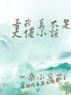 看我真不是女装大佬小说