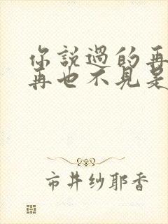 你说过的再见就再也不见是什么歌