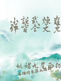 小说武炼巅峰无弹窗全文免费阅读