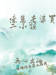 亿万老婆买一送二小说