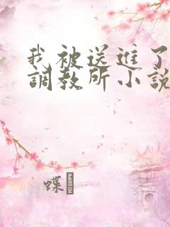 我被送进了私奴调教所小说