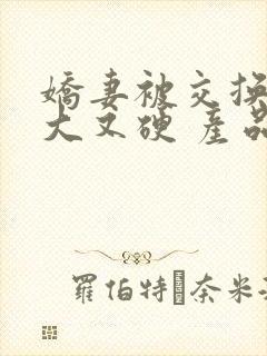 娇妻被交换粗又大又硬 产品介绍