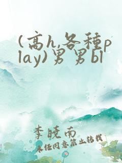 (高h,各种play)男男bl