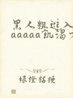黑人粗进入欧美aaaaa饥渴少妇
