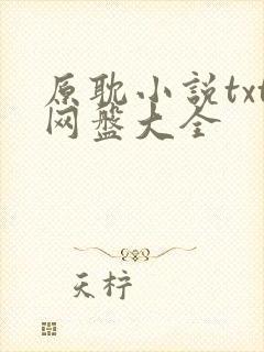 原耽小说txt网盘大全