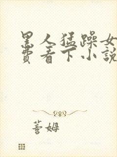 黑人猛躁女人免费看下小说