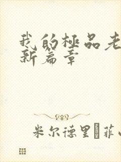 我的极品老婆最新篇章