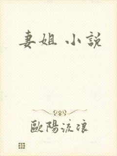 妻姐 小说