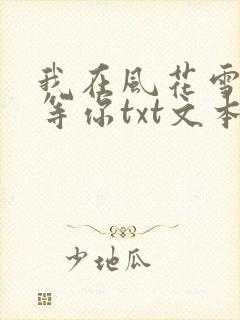 我在风花雪月里等你txt文本