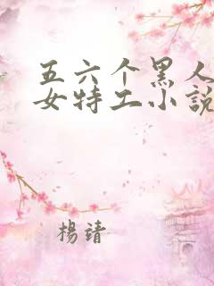 五六个黑人糟蹋女特工小说